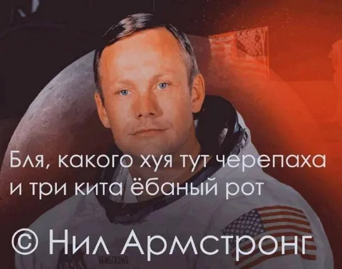 Какого хуя тут черепаха