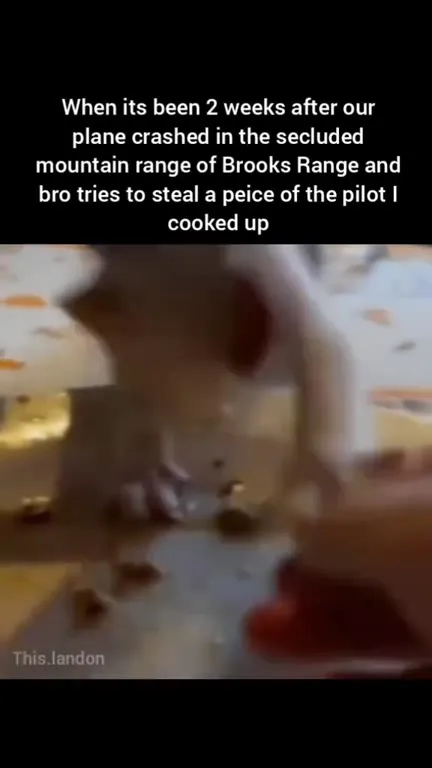 Cat Steals the Pilot I Cooked