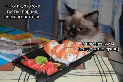 Русскому всегда мало суши
