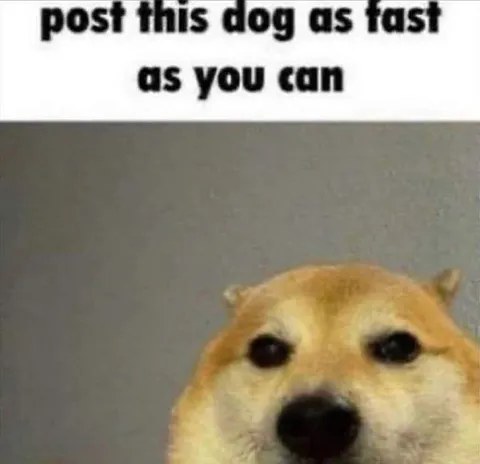 Post This Dog Fast