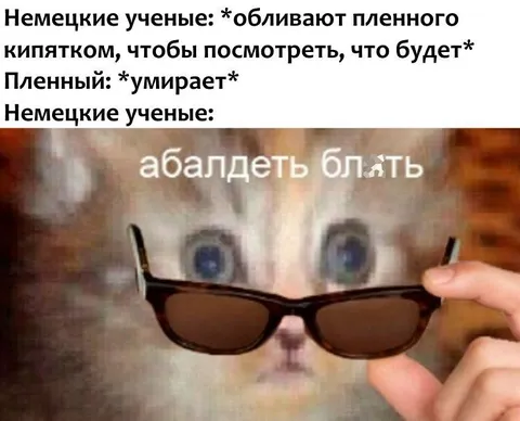 Немецкие учёные и пленник