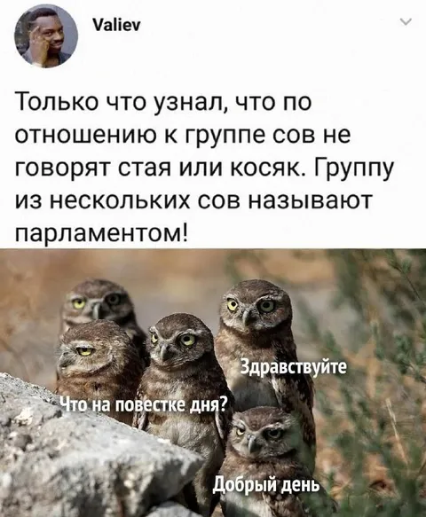 Парламент сов на повестке дня