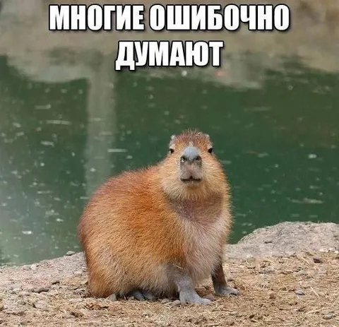 Многие ошибочно думают