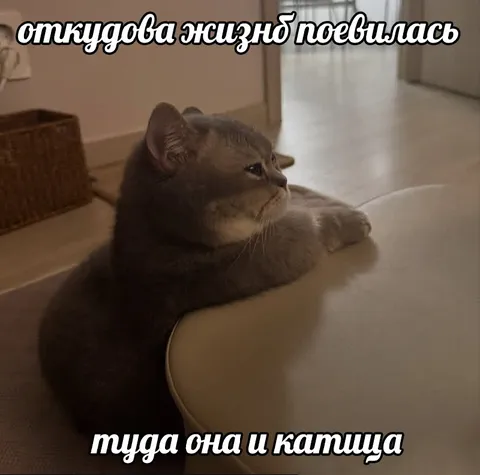Откуда жизнь появилась, туда и катится