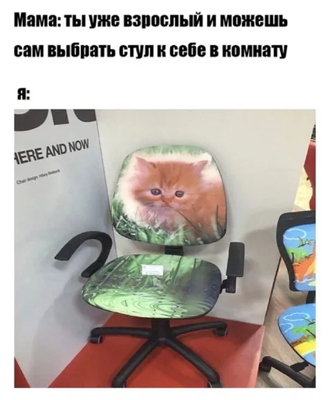 Кресло с котёнком в комнату