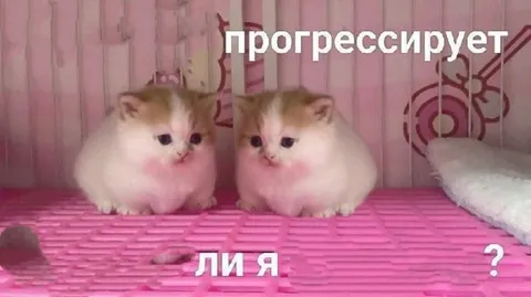 Прогрессирует ли я