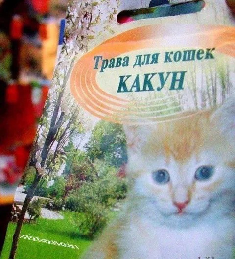 Трава для копек какун