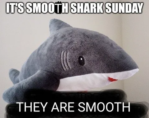 Smooth Shark Sunday