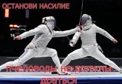 Пчеловоды не должны драться