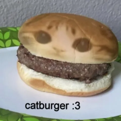 Catburger :3