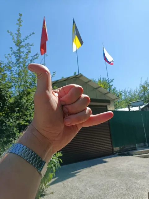 Жест на фоне флагов