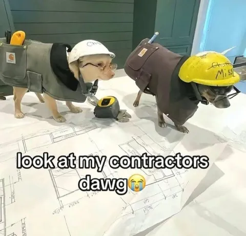 Look at My Contractors Dawg