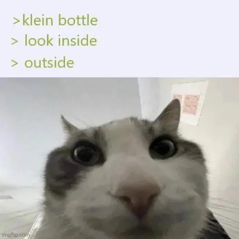 Klein Bottle Cat