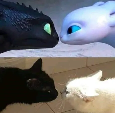 Беззубик и Белая Фурия