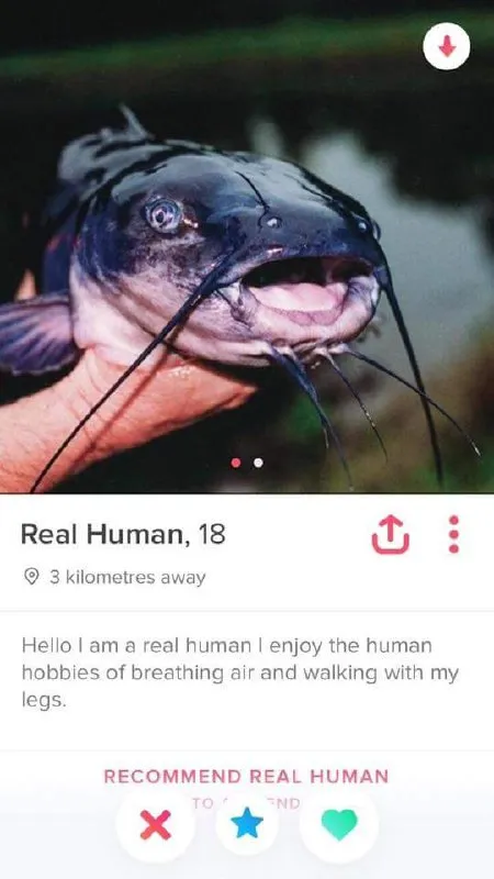 Real Human Catfish Profile