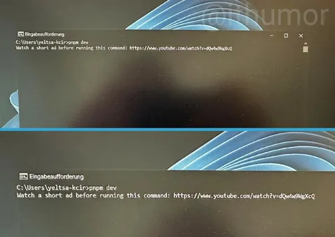 Watch an Ad Before pnpm