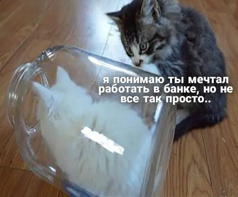 Мечтал работать в банке