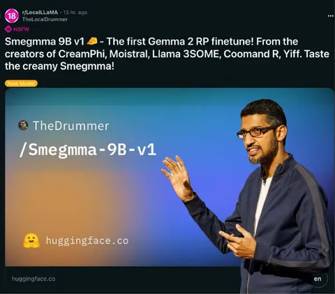 Smegмma 9B Model Announcement