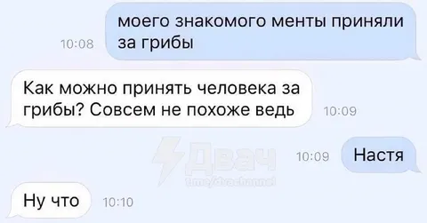 Приняли человека за грибы