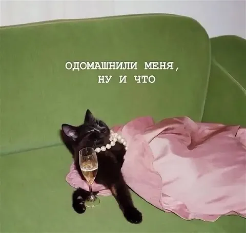Одомашнили меня, ну и что