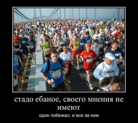 Стадо бежит за одним