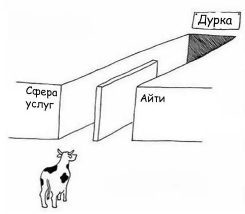 Из сферы услуг в дурку