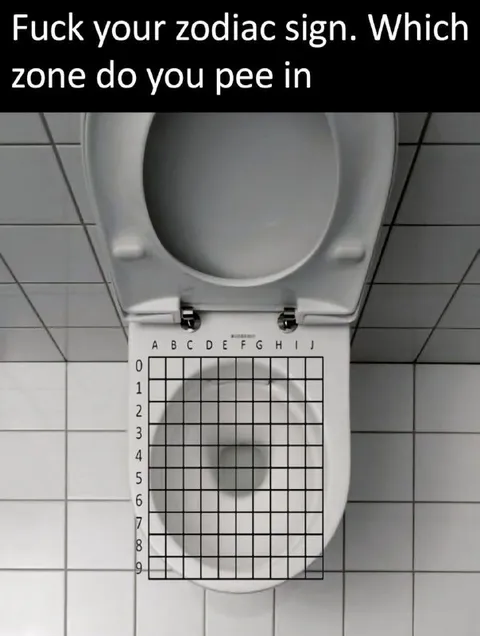 Which Toilet Zone Do You Pee In