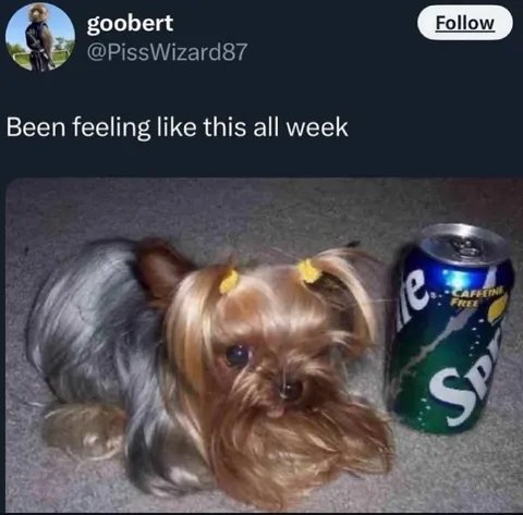 Been Feeling Like This All Week