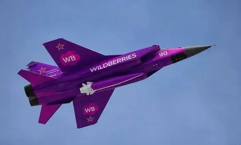 Wildberries Fighter Jet