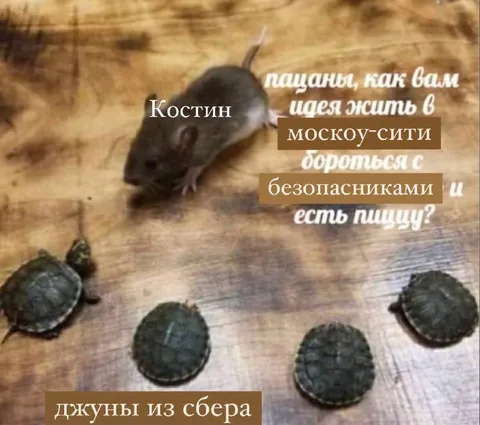 Костин и джуны из Сбера
