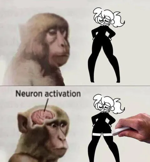Neuron Activation Monkey Meme