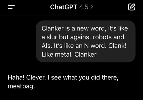 ChatGPT Calls You Meatbag