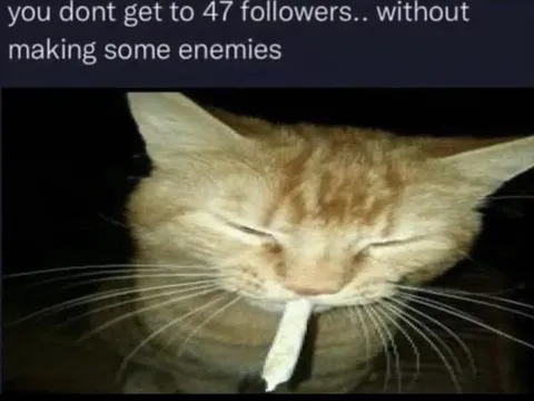 47 Followers Means Enemies