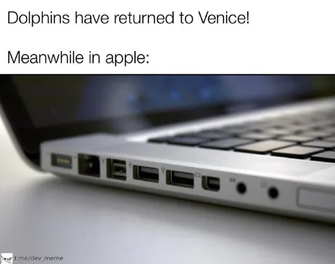 Dolphins Returned to Venice