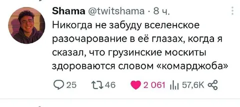 Разочарование из-за грузинских москитов