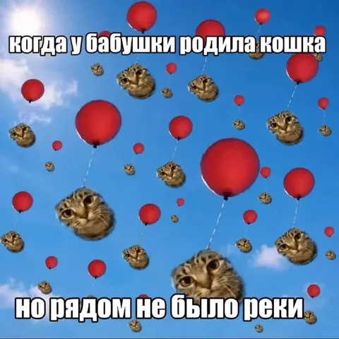 Кошка родила у бабушки