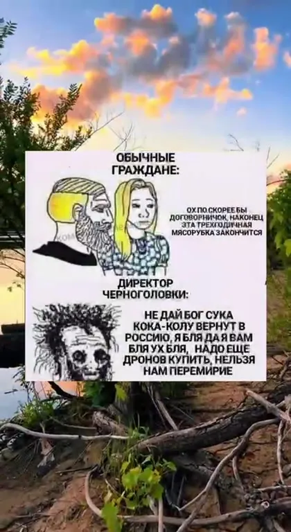 Обычные граждане и директор Черноголовки