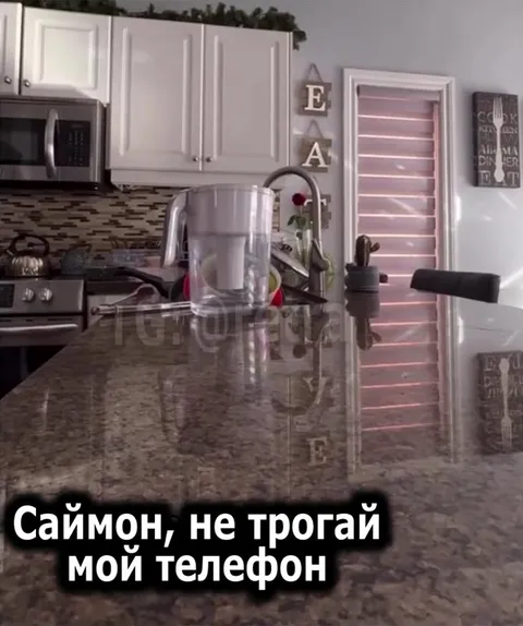 Попугай защищает телефон