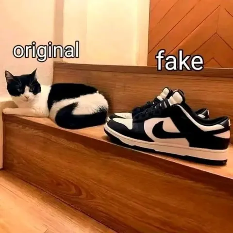 Original Cat Fake Nike Shoes
