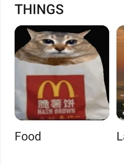 Cat Hash Brown