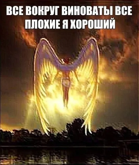 Все вокруг виноваты