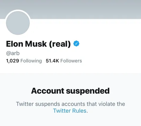 Elon Musk Account Suspended