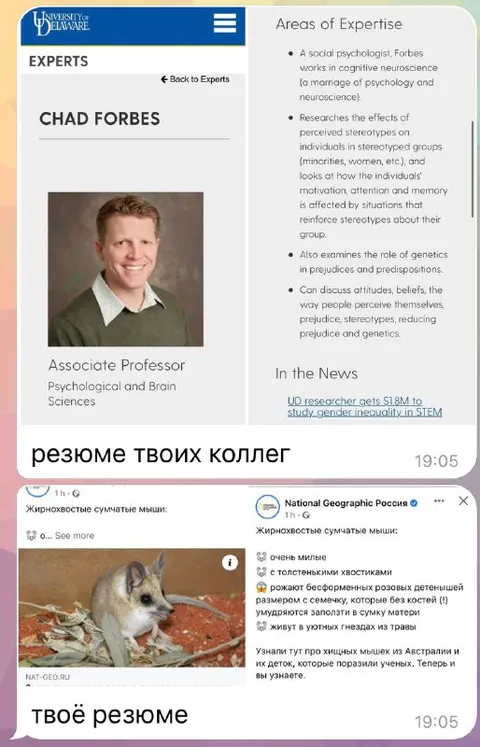 Резюме твоих коллег и твоё