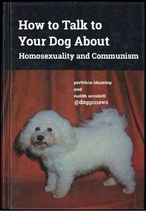 How to Talk to Your Dog