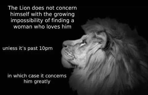 The Lion After 10pm