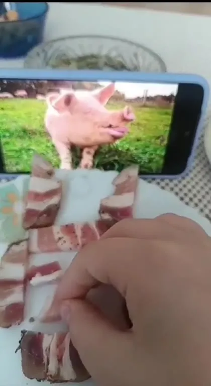 Свинья из кусочков сала