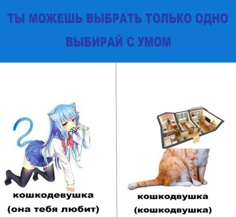 Кошкодевушка или кошкодвушка
