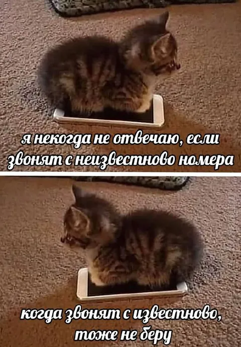 Не беру незнакомые звонки