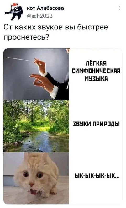 От каких звуков быстрее проснёшься