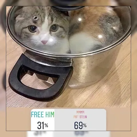 Free Him or Pot Stew